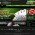 Casino luck affiliates